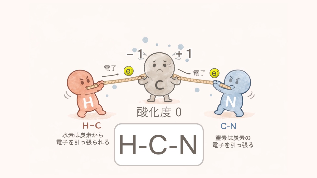 アラニンのα炭素（不斉炭素）の酸化度を計算するためのイラストです。水素と窒素の間で電子がやり取りされます。