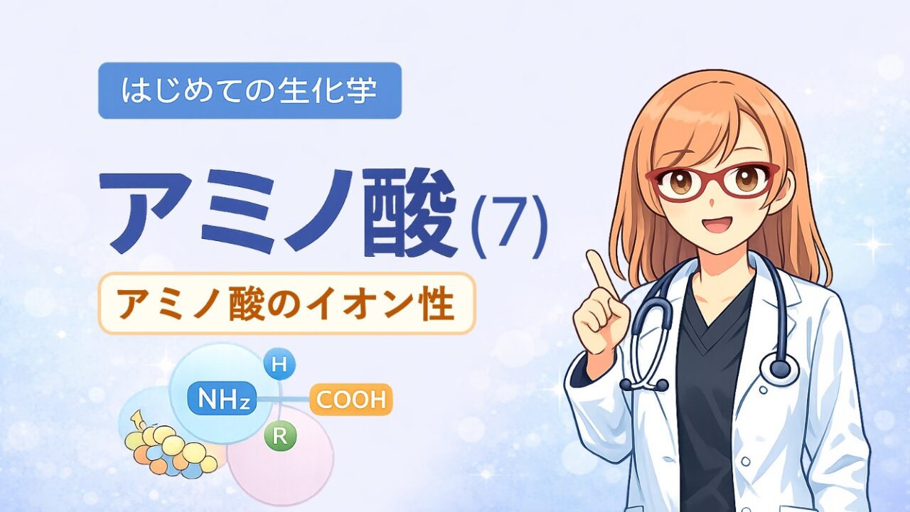 アミノ酸は水に溶けると、どんなイオンになるのかをイラストで表しました。