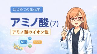 アミノ酸は水に溶けると、どんなイオンになるのかをイラストで表しました。