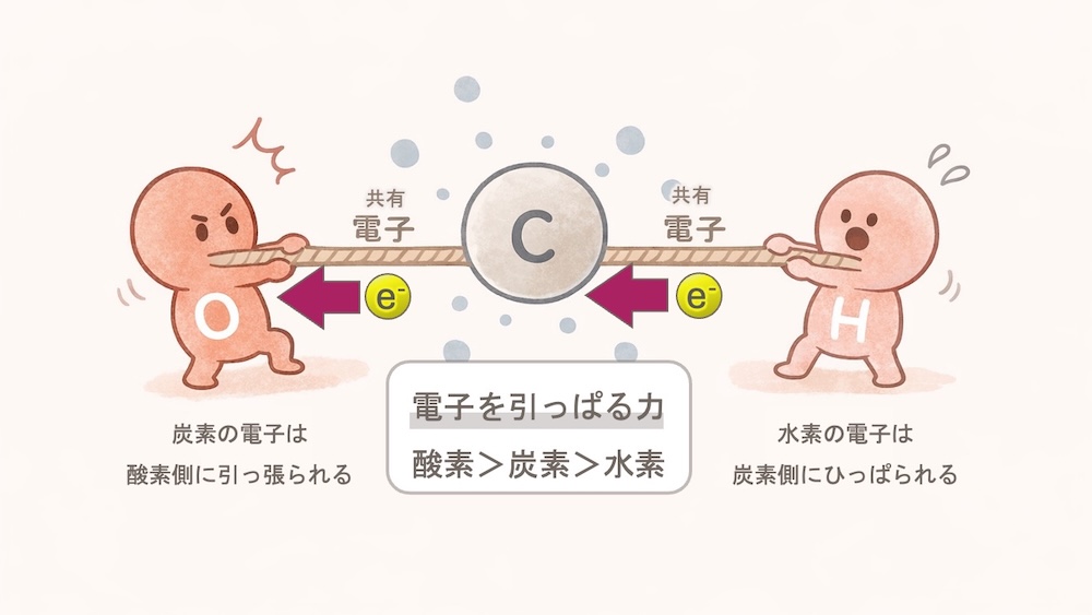 アミノ酸 アラニン 酸化度 計算 イラスト。炭素の「酸化度」を、原子同士の電子の綱引きで表現したイラストです。 電子（マイナスの荷物）を奪われると酸化度はプラス（酸化状態）に、奪うとマイナス（還元状態）になります。アラニンを例に、カルボキシ基（+3）、不斉炭素（0）、メチル基（-3）と、周囲の原子との力の差で数字が変わる様子を可視化しました。 「なぜフィッシャー投影式ではCOOHが上なのか？」という理由が、一目で納得できる内容です。