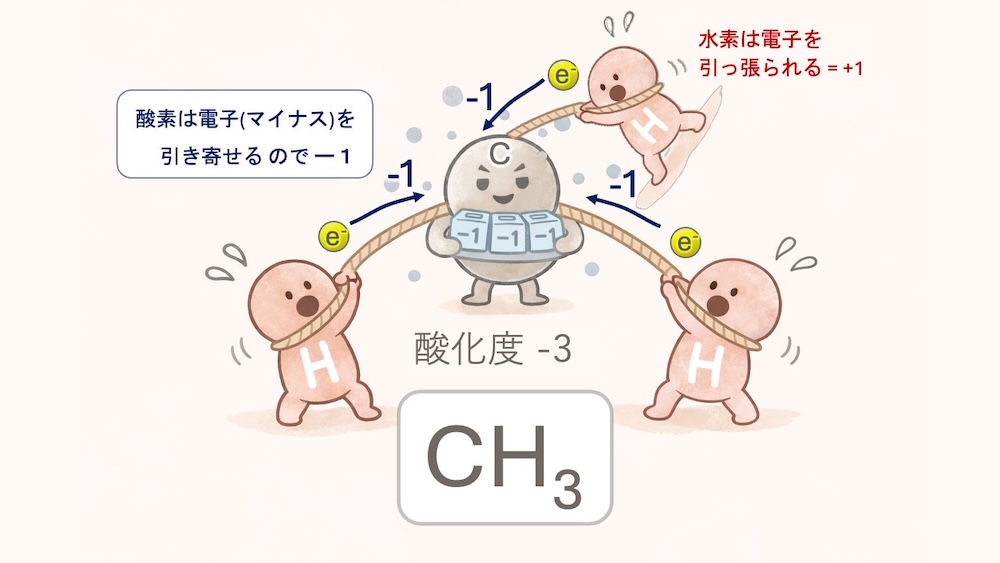 アミノ酸 アラニン 酸化度 計算 イラスト。炭素の「酸化度」を、原子同士の電子の綱引きで表現したイラストです。 電子（マイナスの荷物）を奪われると酸化度はプラス（酸化状態）に、奪うとマイナス（還元状態）になります。アラニンを例に、カルボキシ基（+3）、不斉炭素（0）、メチル基（-3）と、周囲の原子との力の差で数字が変わる様子を可視化しました。 「なぜフィッシャー投影式ではCOOHが上なのか？」という理由が、一目で納得できる内容です。
