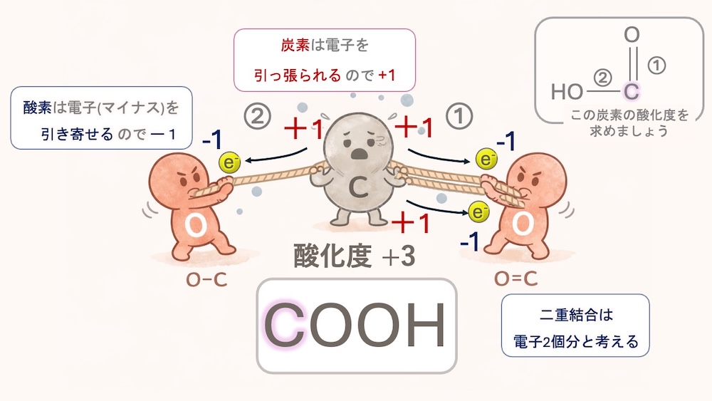 アミノ酸 アラニン 酸化度 計算 イラスト。炭素の「酸化度」を、原子同士の電子の綱引きで表現したイラストです。 電子（マイナスの荷物）を奪われると酸化度はプラス（酸化状態）に、奪うとマイナス（還元状態）になります。アラニンを例に、カルボキシ基（+3）、不斉炭素（0）、メチル基（-3）と、周囲の原子との力の差で数字が変わる様子を可視化しました。 「なぜフィッシャー投影式ではCOOHが上なのか？」という理由が、一目で納得できる内容です。