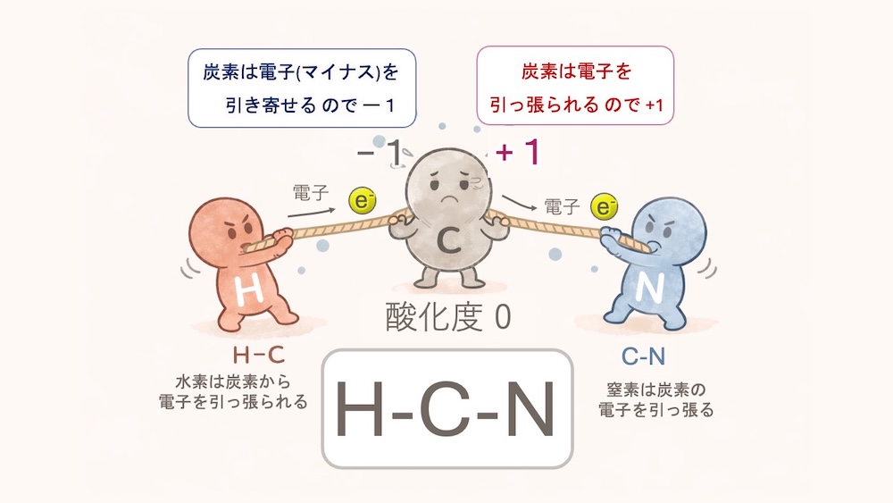 アミノ酸 アラニン 酸化度 計算 イラスト。炭素の「酸化度」を、原子同士の電子の綱引きで表現したイラストです。 電子（マイナスの荷物）を奪われると酸化度はプラス（酸化状態）に、奪うとマイナス（還元状態）になります。アラニンを例に、カルボキシ基（+3）、不斉炭素（0）、メチル基（-3）と、周囲の原子との力の差で数字が変わる様子を可視化しました。 「なぜフィッシャー投影式ではCOOHが上なのか？」という理由が、一目で納得できる内容です。