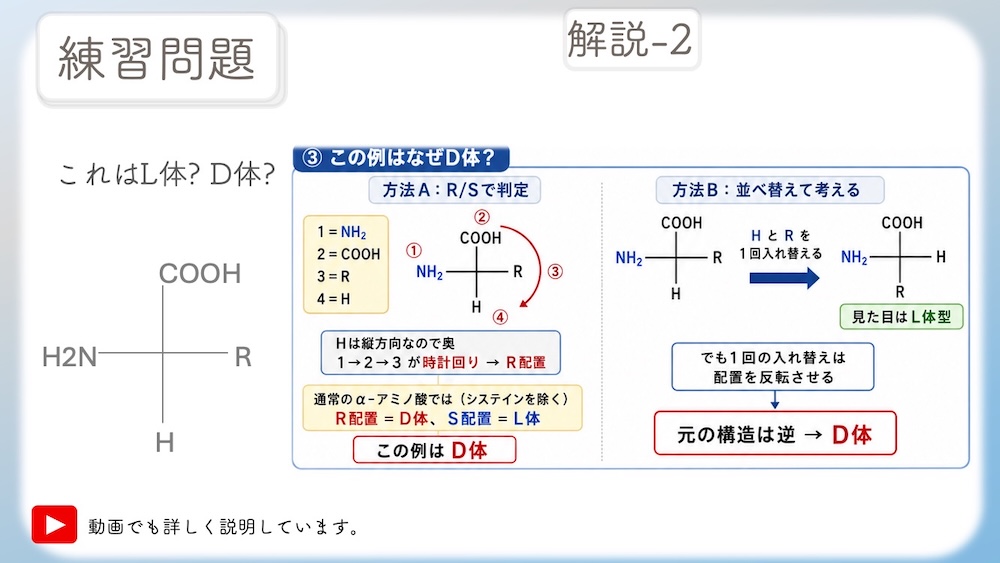 アミノ酸のL体・D体判別で迷う受験生必見！フィッシャー投影式の基本ルールから、確実に正解を導く2つのアプローチを徹底解説しました。 「R体・S体の判別」を応用した論理的判別と、立体を頭の中で「入れ替える」視覚的方法の２つを網羅。丸暗記ではなく「仕組み」から理解できるため、試験本番のケアレスミスを防げます。医学・薬学部の定期試験や国家試験対策として、手元に保存しておきたい価値ある一枚です。