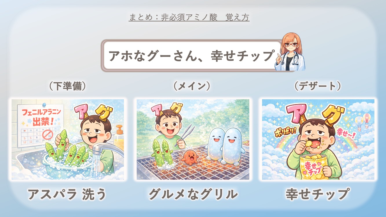 非必須アミノ酸を覚えるための有名な語呂をイラストで表しました。