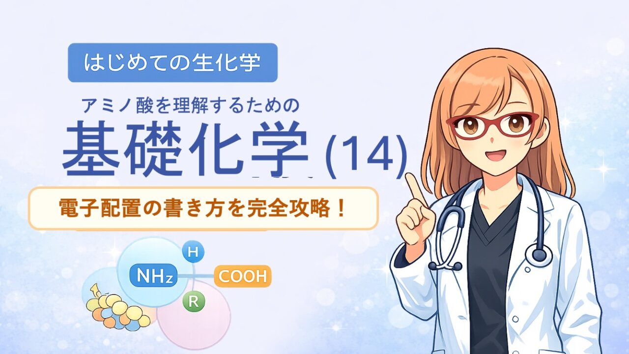 アミノ酸を理解するための基礎化学。電子配置　KLMN殻とspdf軌道を最短で理解するためのイラストです。