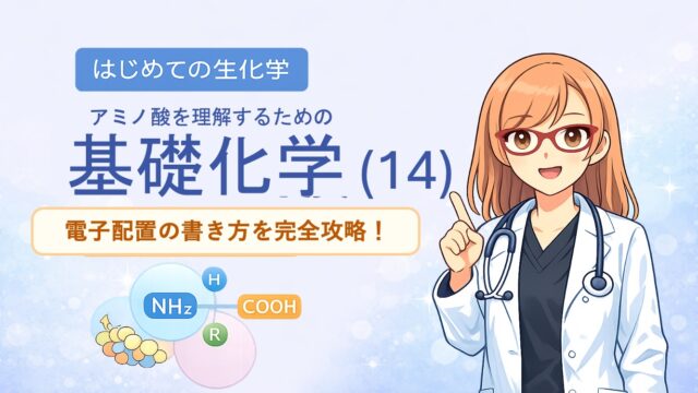 アミノ酸を理解するための基礎化学。電子配置　KLMN殻とspdf軌道を最短で理解するためのイラストです。