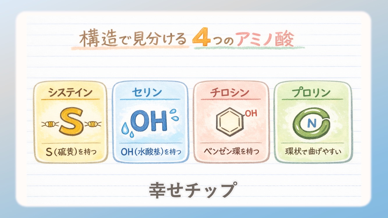 非必須アミノ酸の有名な語呂を説明したイラストです。