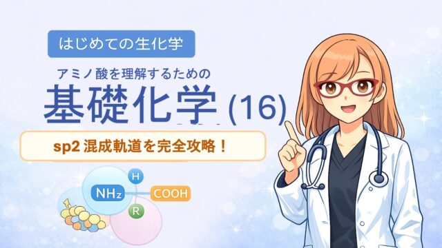sp2混成軌道の「平面構造」が、アミノ酸のペプチド結合を「回らない平らな板」に変えるメカニズムを視覚化した図解です。単結合（sp3）との決定的な違い、120度の結合角、そして垂直なp軌道が作るπ結合の仕組みを解説。タンパク質が精密な立体構造を維持できる物理学的理由を、Dr.しろねことこはくがスッキリ解き明かします。生化学・有機化学の試験頻出ポイントを網羅し、暗記から論理的理解へと導く一枚です。