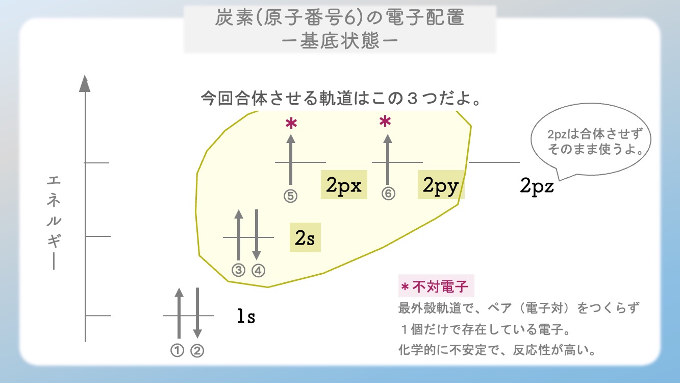 sp2混成軌道の「平面構造」が、アミノ酸のペプチド結合を「回らない平らな板」に変えるメカニズムを視覚化した図解です。単結合（sp3）との決定的な違い、120度の結合角、そして垂直なp軌道が作るπ結合の仕組みを解説。タンパク質が精密な立体構造を維持できる物理学的理由を、Dr.しろねことこはくがスッキリ解き明かします。生化学・有機化学の試験頻出ポイントを網羅し、暗記から論理的理解へと導く一枚です。