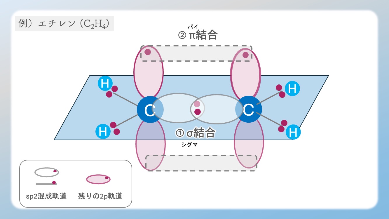 sp2混成軌道の「平面構造」が、アミノ酸のペプチド結合を「回らない平らな板」に変えるメカニズムを視覚化した図解です。単結合（sp3）との決定的な違い、120度の結合角、そして垂直なp軌道が作るπ結合の仕組みを解説。タンパク質が精密な立体構造を維持できる物理学的理由を、Dr.しろねことこはくがスッキリ解き明かします。生化学・有機化学の試験頻出ポイントを網羅し、暗記から論理的理解へと導く一枚です。