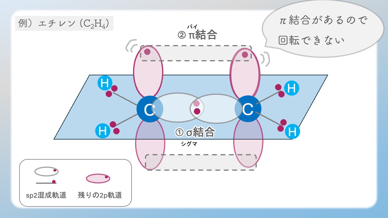 sp2混成軌道の「平面構造」が、アミノ酸のペプチド結合を「回らない平らな板」に変えるメカニズムを視覚化した図解です。単結合（sp3）との決定的な違い、120度の結合角、そして垂直なp軌道が作るπ結合の仕組みを解説。タンパク質が精密な立体構造を維持できる物理学的理由を、Dr.しろねことこはくがスッキリ解き明かします。生化学・有機化学の試験頻出ポイントを網羅し、暗記から論理的理解へと導く一枚です。