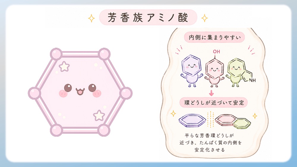芳香族アミノ酸（フェニルアラニン、チロシンなど）についてわかりやすく説明したイラストです。