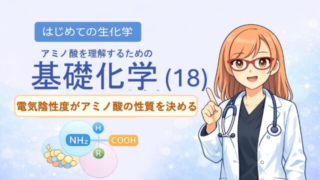 アミノ酸の性質（親水性・疎水性）を決定づける「電気陰性度」の仕組みを解説したイラストです。酸素（O）や窒素（N）が電子を惹きつける力の差によって生じる「極性」が、水分子との結合（水和）にどう関わるかを視覚化しました。C-H結合の非極性が生む疎水性相互作用や、セリン等の親水基が水とスクラムを組む様子を、医学・薬学・看護学生向けにわかりやすく図解。国家試験やCBT対策の基礎固めに最適な内容です。