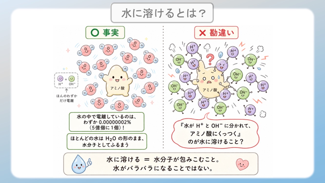 水分子の多くはそのままの形で電気を帯びて存在いていて、イオンに分かれているのはごくわずかです。アミノ酸の性質（親水性・疎水性）を決定づける「電気陰性度」の仕組みを解説した中で、水に溶けるとはどういう現象か？よく勘違いされている事を説明するために描いたイラストです。酸素（O）や窒素（N）が電子を惹きつける力の差によって生じる「極性」が、水分子との結合（水和）にどう関わるかを視覚化しました。C-H結合の非極性が生む疎水性相互作用や、セリン等の親水基が水とスクラムを組む様子を、医学・薬学・看護学生向けにわかりやすく図解。国家試験やCBT対策の基礎固めに最適な内容です。