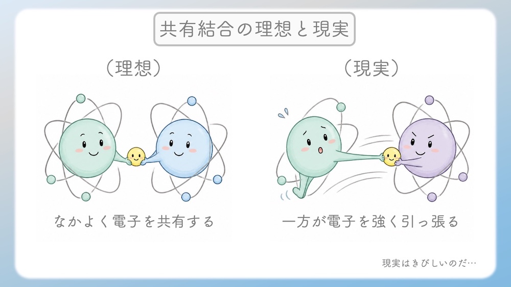 アミノ酸の性質（親水性・疎水性）を決定づける「電気陰性度」の仕組みを解説したイラストです。酸素（O）や窒素（N）が電子を惹きつける力の差によって生じる「極性」が、水分子との結合（水和）にどう関わるかを視覚化しました。C-H結合の非極性が生む疎水性相互作用や、セリン等の親水基が水とスクラムを組む様子を、医学・薬学・看護学生向けにわかりやすく図解。国家試験やCBT対策の基礎固めに最適な内容です。