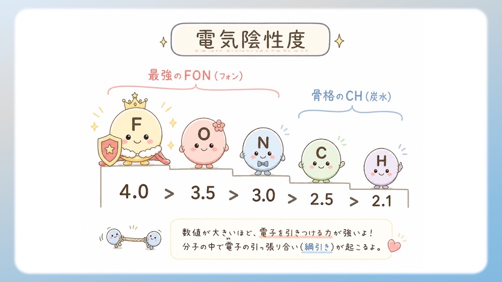 アミノ酸の性質（親水性・疎水性）を決定づける「電気陰性度」の仕組みを解説したイラストです。酸素（O）や窒素（N）が電子を惹きつける力の差によって生じる「極性」が、水分子との結合（水和）にどう関わるかを視覚化しました。C-H結合の非極性が生む疎水性相互作用や、セリン等の親水基が水とスクラムを組む様子を、医学・薬学・看護学生向けにわかりやすく図解。国家試験やCBT対策の基礎固めに最適な内容です。