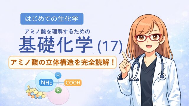 アミノ酸の立体構造とsp3, sp2混成軌道, 1.5重結合の関係を視覚化した解説イラストです。中心のアルファ炭素が形成する正四面体構造や、ペプチド結合における1.5重結合（sp2共鳴）による平面性の仕組みを、初心者でも直感的に理解できるよう図解しています。CBTや国家試験対策で重要な『なぜ回転できないのか』という化学的根拠を明確に表現しており、生化学の学習効率を高める教材・ブログ素材として最適です。