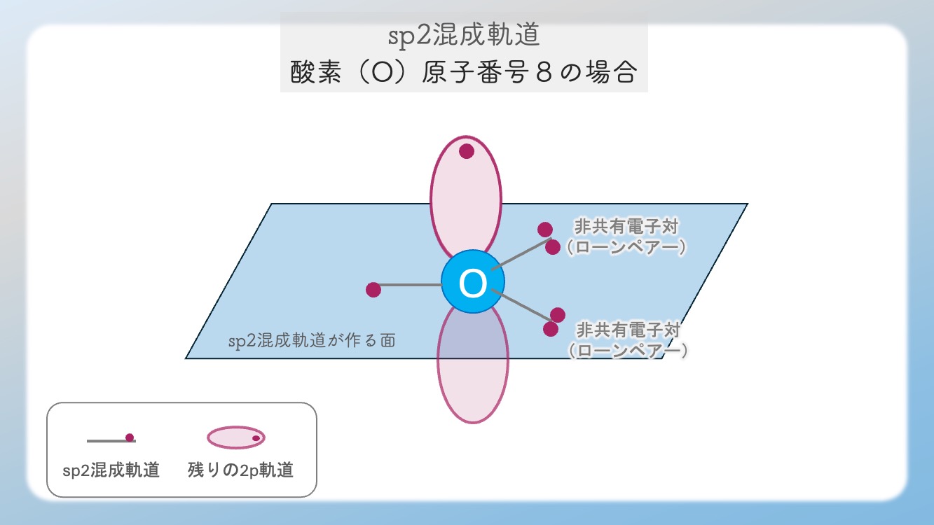 アミノ酸の立体構造とsp3, sp2混成軌道, 1.5重結合の関係を視覚化した解説イラストです。中心のアルファ炭素が形成する正四面体構造や、ペプチド結合における1.5重結合（sp2共鳴）による平面性の仕組みを、初心者でも直感的に理解できるよう図解しています。CBTや国家試験対策で重要な『なぜ回転できないのか』という化学的根拠を明確に表現しており、生化学の学習効率を高める教材・ブログ素材として最適です。