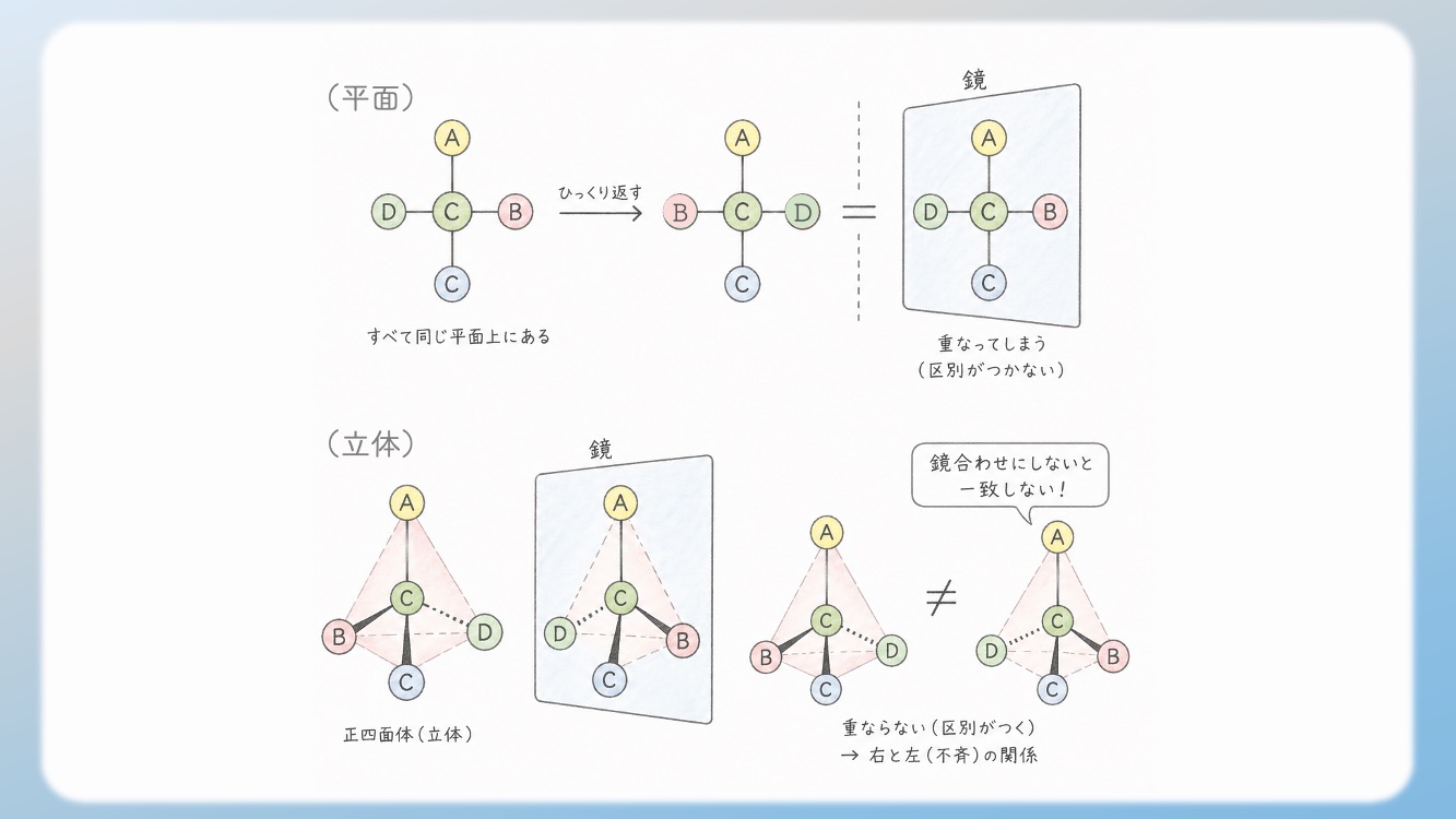 アミノ酸の立体構造とsp3, sp2混成軌道, 1.5重結合の関係を視覚化した解説イラストです。中心のアルファ炭素が形成する正四面体構造や、ペプチド結合における1.5重結合（sp2共鳴）による平面性の仕組みを、初心者でも直感的に理解できるよう図解しています。CBTや国家試験対策で重要な『なぜ回転できないのか』という化学的根拠を明確に表現しており、生化学の学習効率を高める教材・ブログ素材として最適です。