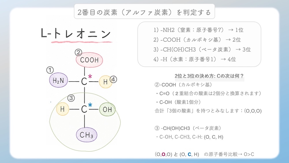 多くのアミノ酸がS体である中、なぜL-システインだけがR体なのか？その理由を、原子番号に基づいた優先順位の逆転現象から論理的に図解します。さらに、受験生が視覚的錯覚で間違えやすいL-トレオニン（2S, 3R）の複雑なRS判定プロセスも徹底解説。L体・D体表記では区別しきれない不斉炭素の本質を解き明かし、丸暗記を脱却して試験で確実に得点するための『一生モノの判定ロジック』を視認性高くまとめた決定版です。