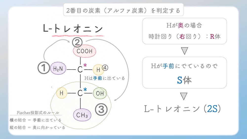 多くのアミノ酸がS体である中、なぜL-システインだけがR体なのか？その理由を、原子番号に基づいた優先順位の逆転現象から論理的に図解します。さらに、受験生が視覚的錯覚で間違えやすいL-トレオニン（2S, 3R）の複雑なRS判定プロセスも徹底解説。L体・D体表記では区別しきれない不斉炭素の本質を解き明かし、丸暗記を脱却して試験で確実に得点するための『一生モノの判定ロジック』を視認性高くまとめた決定版です。