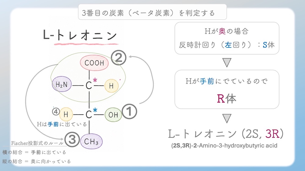 多くのアミノ酸がS体である中、なぜL-システインだけがR体なのか？その理由を、原子番号に基づいた優先順位の逆転現象から論理的に図解します。さらに、受験生が視覚的錯覚で間違えやすいL-トレオニン（2S, 3R）の複雑なRS判定プロセスも徹底解説。L体・D体表記では区別しきれない不斉炭素の本質を解き明かし、丸暗記を脱却して試験で確実に得点するための『一生モノの判定ロジック』を視認性高くまとめた決定版です。