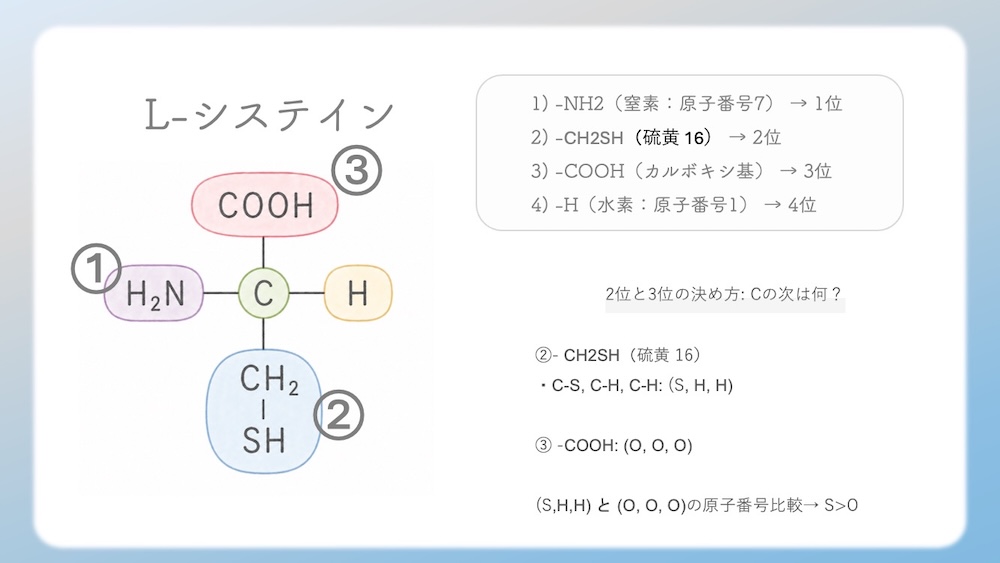 多くのアミノ酸がS体である中、なぜL-システインだけがR体なのか？その理由を、原子番号に基づいた優先順位の逆転現象から論理的に図解します。さらに、受験生が視覚的錯覚で間違えやすいL-トレオニン（2S, 3R）の複雑なRS判定プロセスも徹底解説。L体・D体表記では区別しきれない不斉炭素の本質を解き明かし、丸暗記を脱却して試験で確実に得点するための『一生モノの判定ロジック』を視認性高くまとめた決定版です。