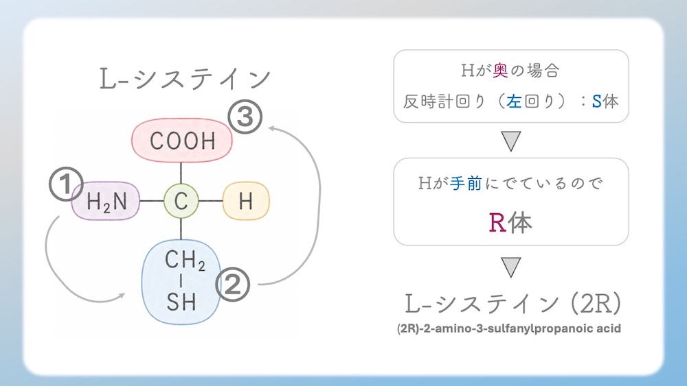 多くのアミノ酸がS体である中、なぜL-システインだけがR体なのか？その理由を、原子番号に基づいた優先順位の逆転現象から論理的に図解します。さらに、受験生が視覚的錯覚で間違えやすいL-トレオニン（2S, 3R）の複雑なRS判定プロセスも徹底解説。L体・D体表記では区別しきれない不斉炭素の本質を解き明かし、丸暗記を脱却して試験で確実に得点するための『一生モノの判定ロジック』を視認性高くまとめた決定版です。