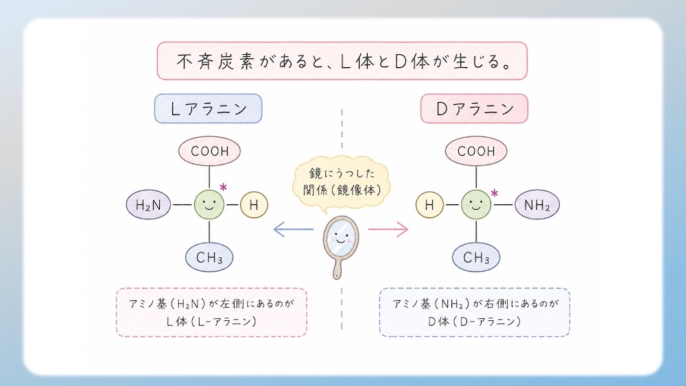 多くのアミノ酸がS体である中、なぜL-システインだけがR体なのか？その理由を、原子番号に基づいた優先順位の逆転現象から論理的に図解します。さらに、受験生が視覚的錯覚で間違えやすいL-トレオニン（2S, 3R）の複雑なRS判定プロセスも徹底解説。L体・D体表記では区別しきれない不斉炭素の本質を解き明かし、丸暗記を脱却して試験で確実に得点するための『一生モノの判定ロジック』を視認性高くまとめた決定版です。
