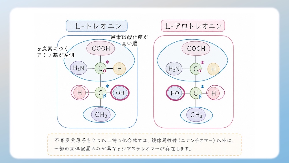 多くのアミノ酸がS体である中、なぜL-システインだけがR体なのか？その理由を、原子番号に基づいた優先順位の逆転現象から論理的に図解します。さらに、受験生が視覚的錯覚で間違えやすいL-トレオニン（2S, 3R）の複雑なRS判定プロセスも徹底解説。L体・D体表記では区別しきれない不斉炭素の本質を解き明かし、丸暗記を脱却して試験で確実に得点するための『一生モノの判定ロジック』を視認性高くまとめた決定版です。