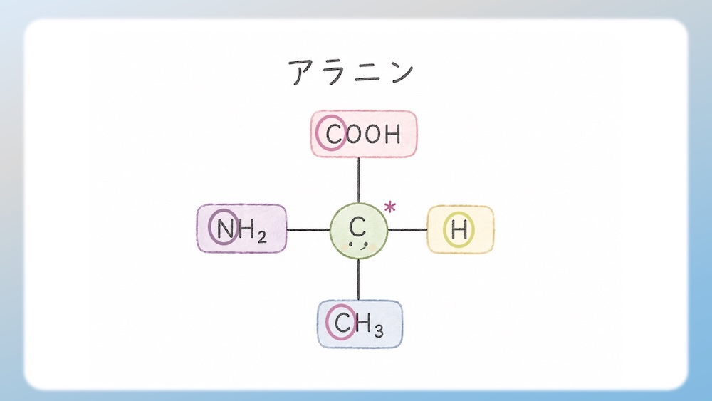多くのアミノ酸がS体である中、なぜL-システインだけがR体なのか？その理由を、原子番号に基づいた優先順位の逆転現象から論理的に図解します。さらに、受験生が視覚的錯覚で間違えやすいL-トレオニン（2S, 3R）の複雑なRS判定プロセスも徹底解説。L体・D体表記では区別しきれない不斉炭素の本質を解き明かし、丸暗記を脱却して試験で確実に得点するための『一生モノの判定ロジック』を視認性高くまとめた決定版です。