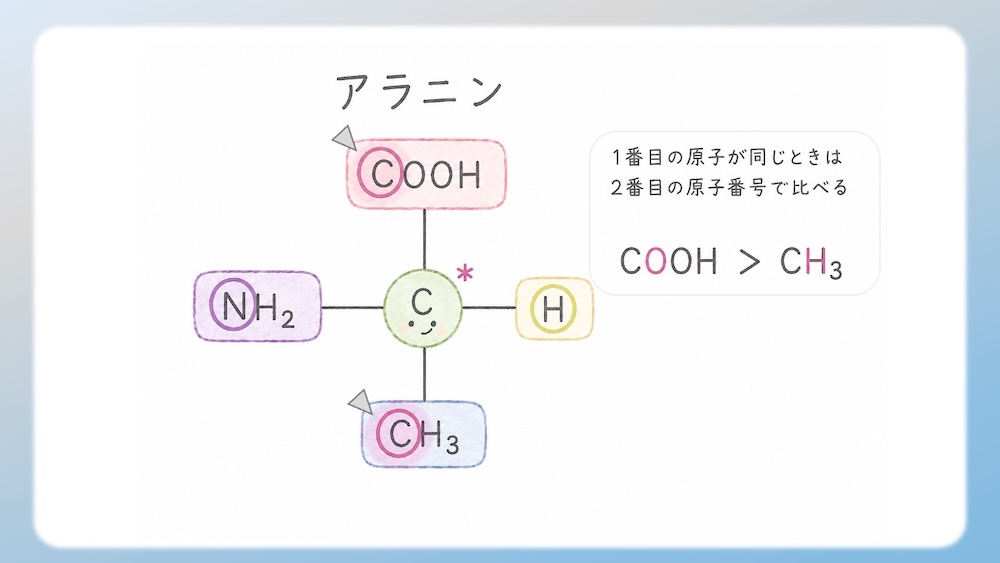 多くのアミノ酸がS体である中、なぜL-システインだけがR体なのか？その理由を、原子番号に基づいた優先順位の逆転現象から論理的に図解します。さらに、受験生が視覚的錯覚で間違えやすいL-トレオニン（2S, 3R）の複雑なRS判定プロセスも徹底解説。L体・D体表記では区別しきれない不斉炭素の本質を解き明かし、丸暗記を脱却して試験で確実に得点するための『一生モノの判定ロジック』を視認性高くまとめた決定版です。