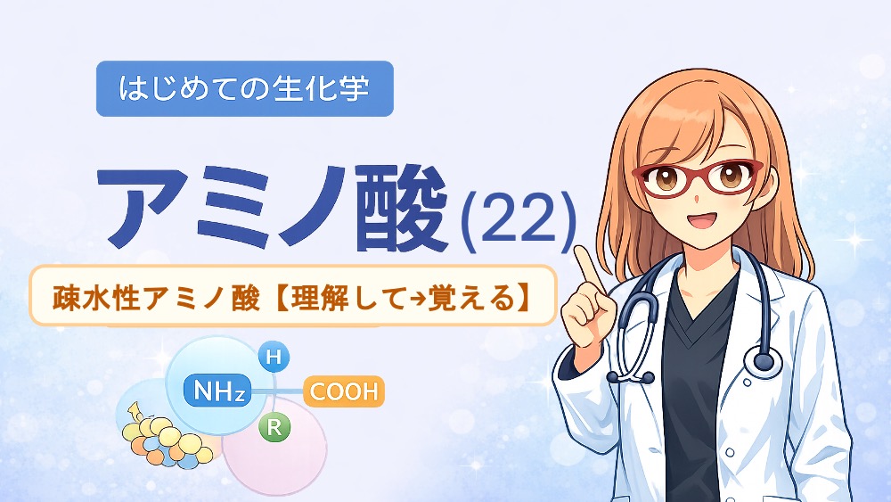 疎水性アミノ酸の解説アイキャッチ画像。「理解して→覚える」をテーマに、水分子と疎水性側鎖の物理化学的なメカニズムや、試験で役立つ語呂合わせ・脳科学的に効果的な覚え方のステップを分かりやすく説明したブログ記事です。医学生・薬学生の試験対策に最適です。
