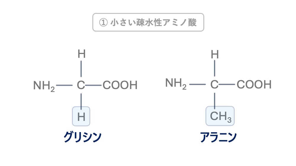 小さい疎水性アミノ酸であるグリシンとアラニンの構造式を示したイラスト。側鎖が小さく、なぜ疎水性に分類されるのかを理解しやすくする図です。
