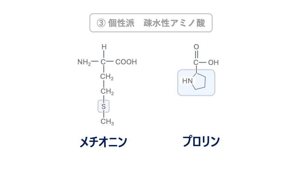 個性派の疎水性アミノ酸であるメチオニンとプロリンの構造式を示したイラスト。硫黄を含むメチオニンと環状構造のプロリンを視覚的に理解できます。